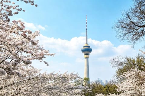 Beijing: Central Radio & TV Tower Ticket and Guided Tours