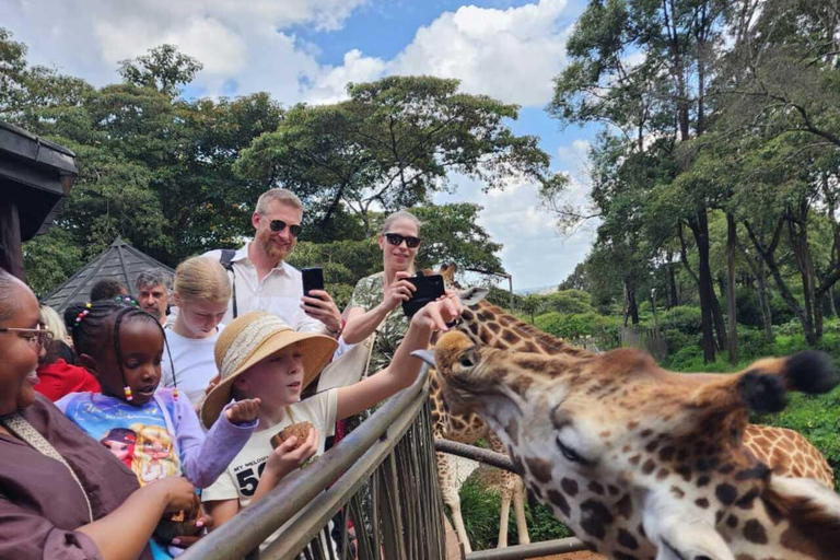 Nairobi: Giraffe Centre Visit and Giraffe Feeding Experience Nairobi: Interactive Giraffe Feeding & Wildlife Education