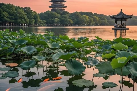 Shanghai to Hangzhou Private Day Trip: Bullet Train or Car