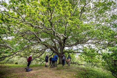 Inverness: Lochs, Waterfalls and Rewilding Experience