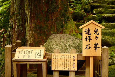 Guided Wakayama Heritage & Forest Trails with Hotel Pickup