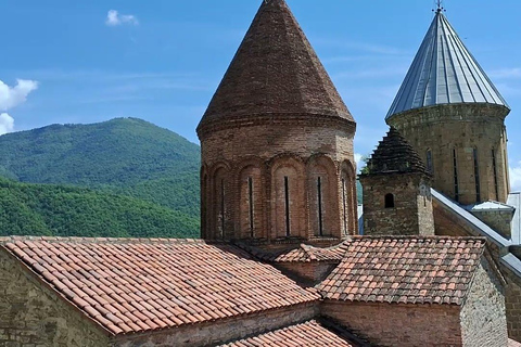 جولة جماعية إرشادية في منطقة النبيذ والتاريخ في تبليسي كاخيتي