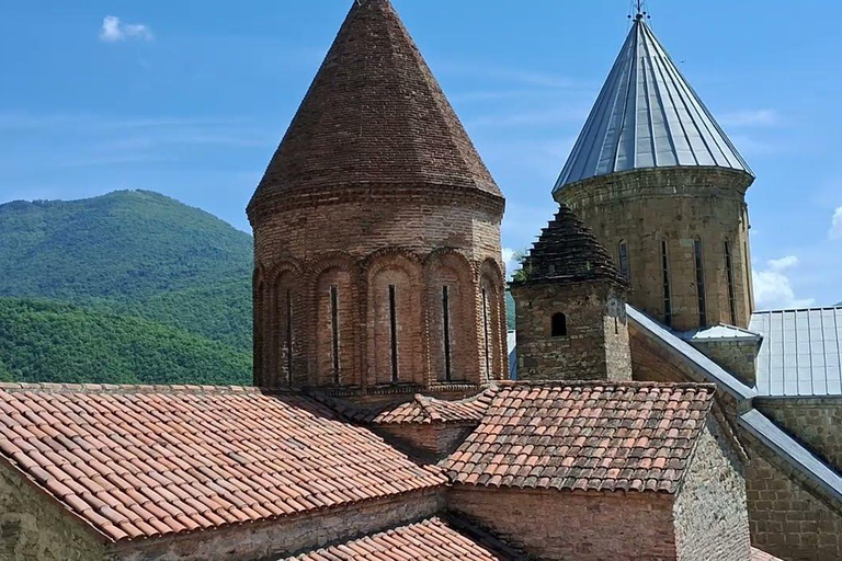 جولة جماعية إرشادية في منطقة النبيذ والتاريخ في تبليسي كاخيتي