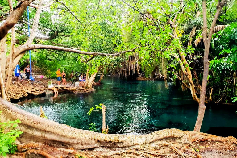 Chemka Hotsprings e vida selvagem Serval Passeio privativo de um dia