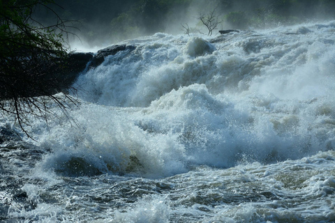 Ouganda : Safari de 3 jours dans le parc national des chutes Murchison