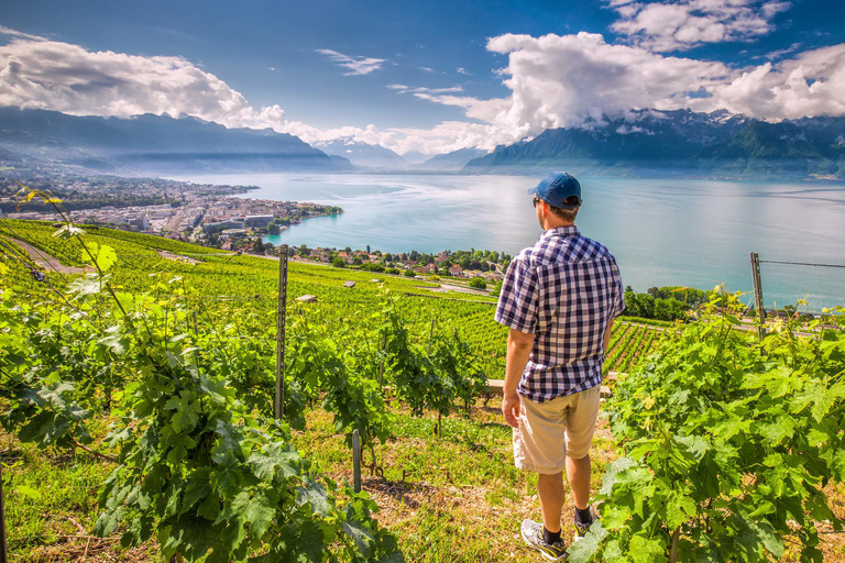 Escursione privata di un giorno: Losanna a Vevey, Montreux e il Castello di Aigle