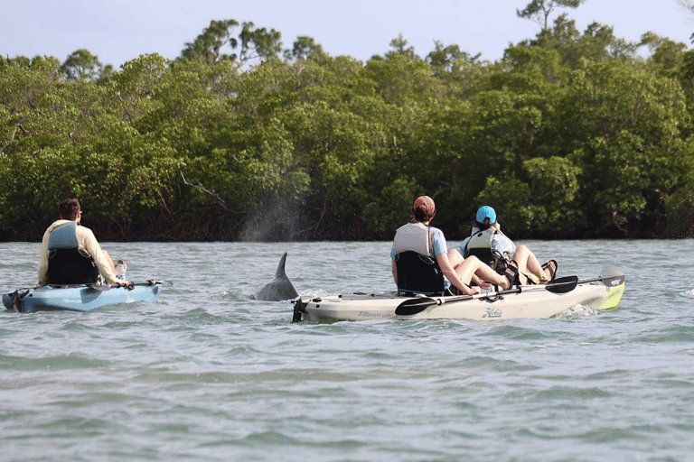 From Naples, FL: Marco Island Mangroves Kayak or Paddle Tour Easy Ride Pedal Kayak Tour