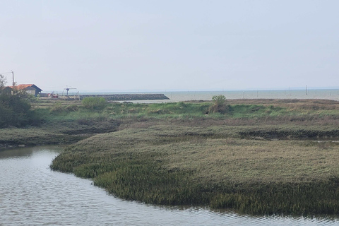 Joyas Ocultas de la Bahía de Arcachon: Excursión Privada a la Península de Cap Ferret