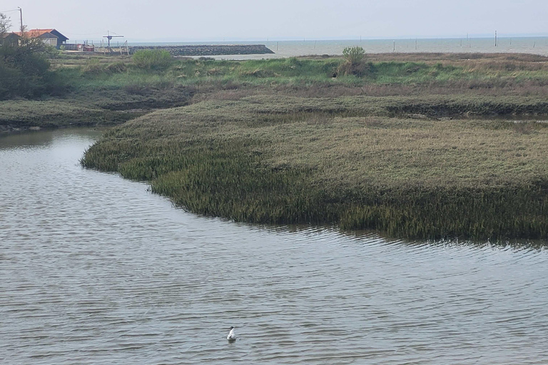 Joyas Ocultas de la Bahía de Arcachon: Excursión Privada a la Península de Cap Ferret