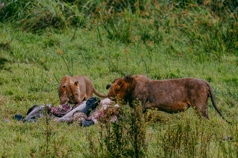 Kigali: Akagera National Park Safari with Boat Cruise