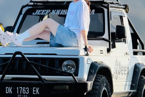 Ubud : (private) jeep tour mount batur sunrise & hot springs
