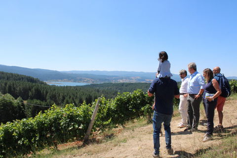 Camigliatello: Tour to the Giants Reserve & Wine Tasting Tour to the Giants Reserve & Wine Tasting