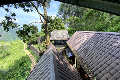 Tedo 7 Waterfalls Peak Adventure – Knuckles Mountain Range