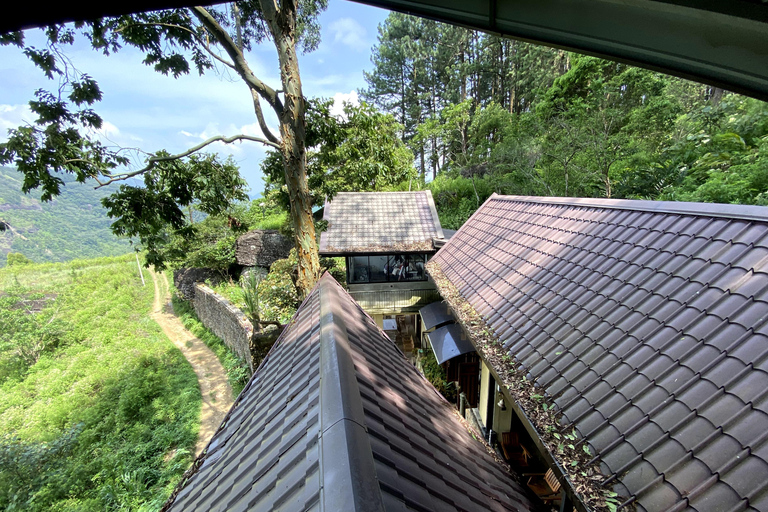 Tedo 7 Waterfalls Peak Adventure – Knuckles Mountain Range