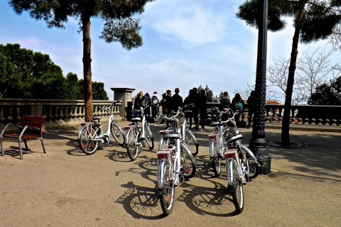 Barcelone: Personalized privé E-Bike Tour