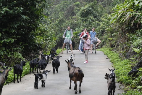 La migliore crociera con pernottamento per visitare la baia di Lan Ha, il villaggio di Viet Hai