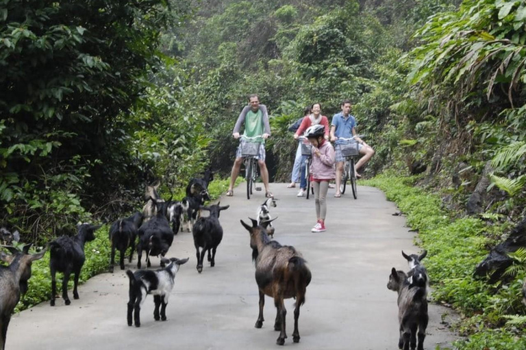 La migliore crociera con pernottamento per visitare la baia di Lan Ha, il villaggio di Viet Hai