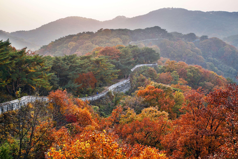 Seoul: UNESCO Namhansanseong &amp; Starlight Garden Night ViewShared Night view tour, Meet at Hongik Uni. Station