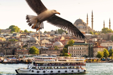 Istanbul Bosphorus Morning or Sunset Cruise with Golden Horn Bosphorus Morning Tour With Golden Horn & Rumeli Fortress