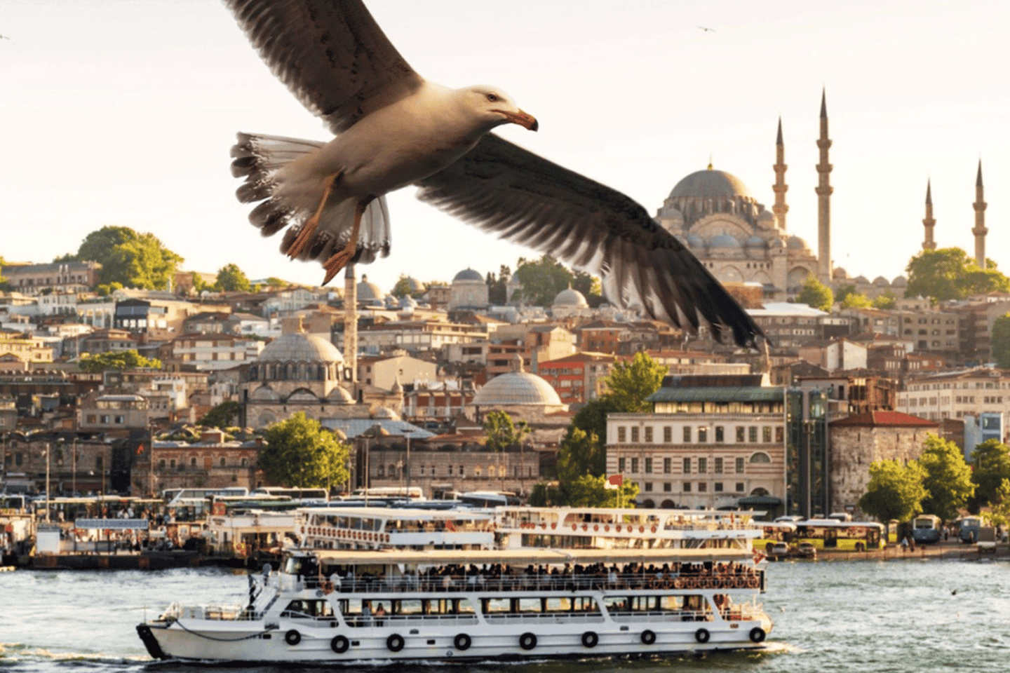 Istanbul: Private Bosphorus Cruise By Luxury Yacht