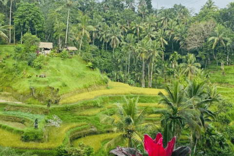 Bali: Ubud Scenic Exploration Without Entrance Tickets