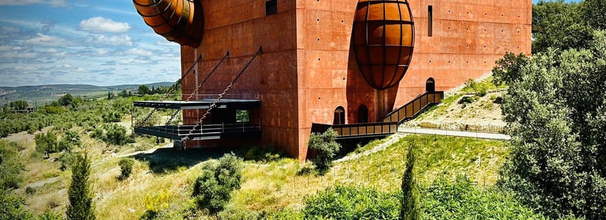 Ronda : LA Almazara LA Organic, musée de l'huile d'olive et dégustation