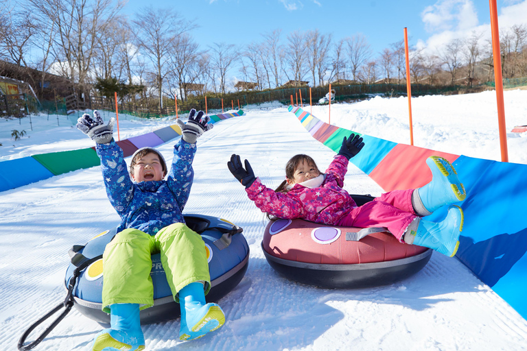 Desde Tokio: Excursión de un Día de Esquí de Invierno en la Estación Nieve Fujiyama YetiB (SKI + FORFAIT), nos vemos en Shinjuku