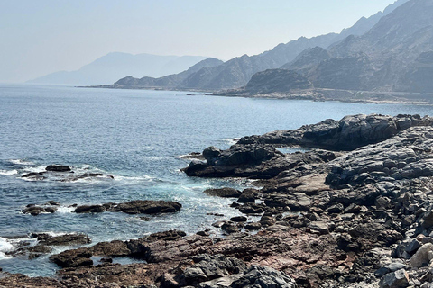 Salalah: Coastal Highway Tour to Fushi Dunes & Hasik Beach