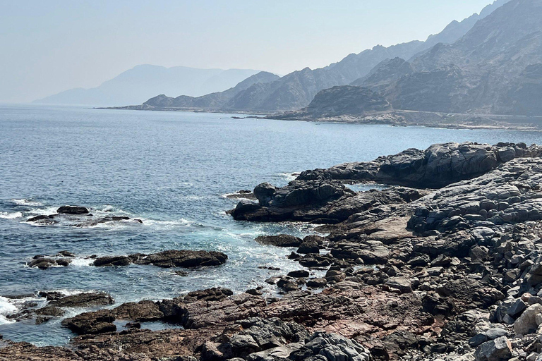 Salalah: Coastal Highway Tour to Fushi Dunes & Hasik Beach