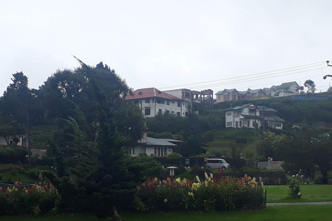 Kandy: Nuwara Eliya and Ambewela Train Station Tour