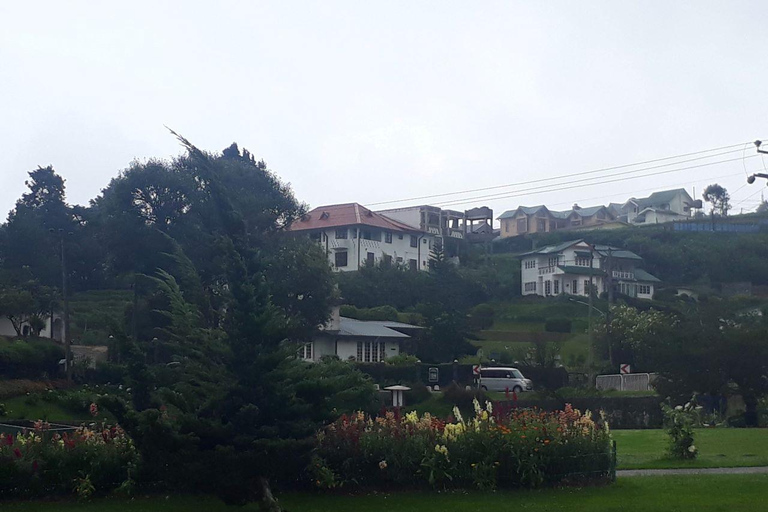 Kandy: Nuwara Eliya and Ambewela Train Station Tour