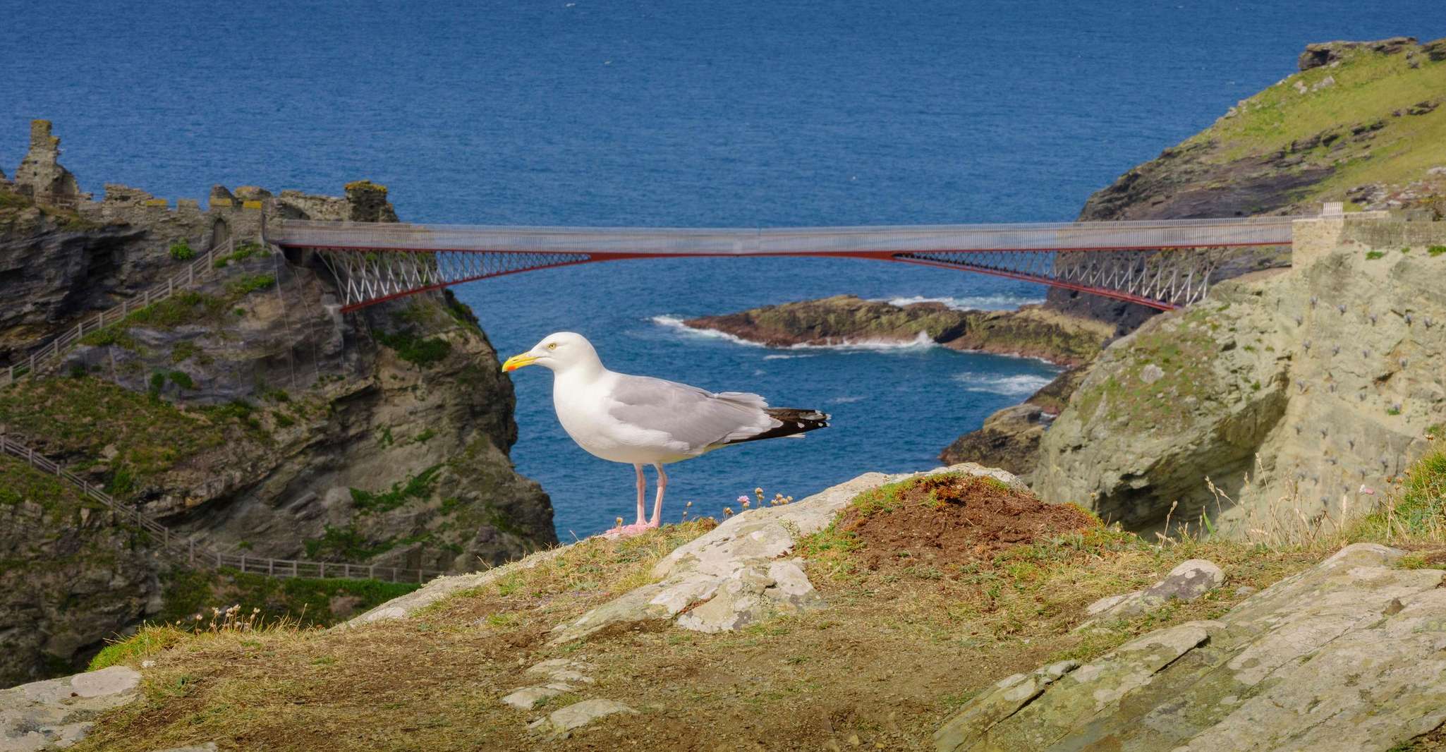 Cornwall: Tintagel Castle Entry Ticket photo 6