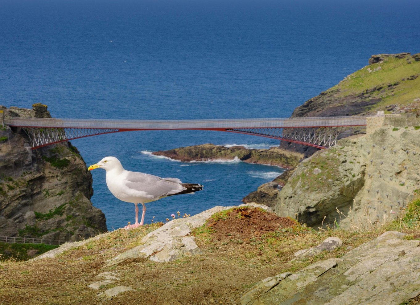 Cornwall: Entrébillet til Tintagel Castle