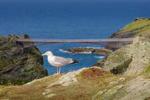 Cornwall: Tintagel Castle Entry Ticket