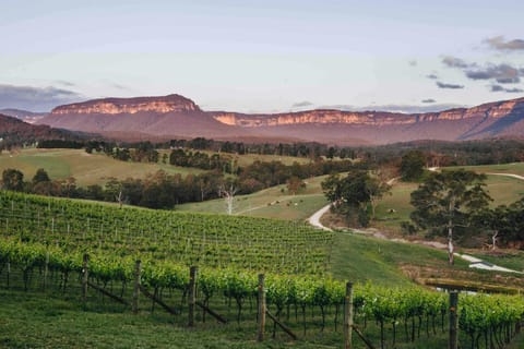 Blue Mountains: Megalong Valley Wine Tasting & Lunch - Image 2
