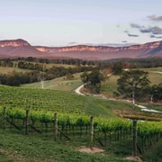 Blue Mountains: Megalong Valley Wine Tasting & Lunch