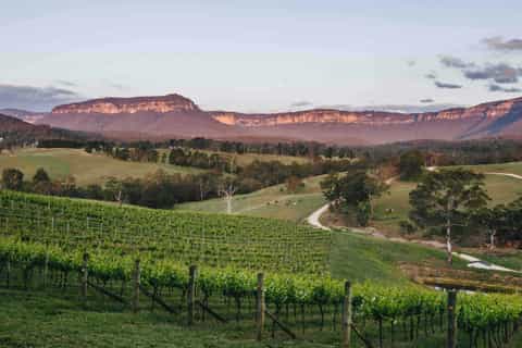 Blue Mountains: Megalong Valley Wine Tasting & Lunch - Image 3
