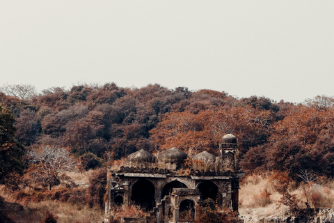 Ranthambore National Park: Core Zone Gypsy safari with Guide Ranthambore National Park: Gypsy Safari with Expert Guide