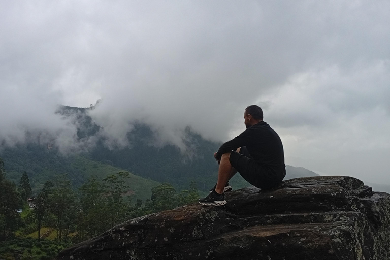 Kandy: Ambuluwawa, Pinnawala & Tea Factory by Tuk Tuk