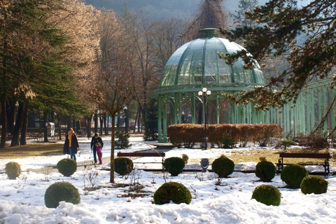 Tbilisi: Borjomi and Bakuriani Day Trip with Guide