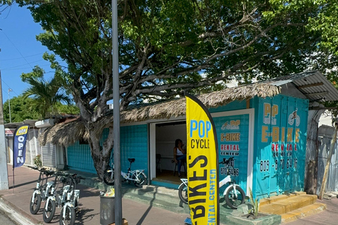 Puerto Plata: E-Bike Rental electric bike Group