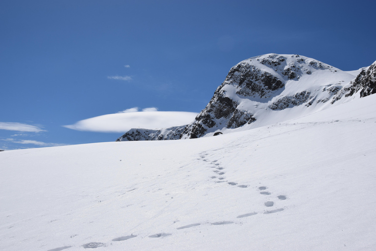 7 Rila Lakes under the snow - Winter Hiking Tour 10-Hour Self-Guided Tour (lakes NOT visible)