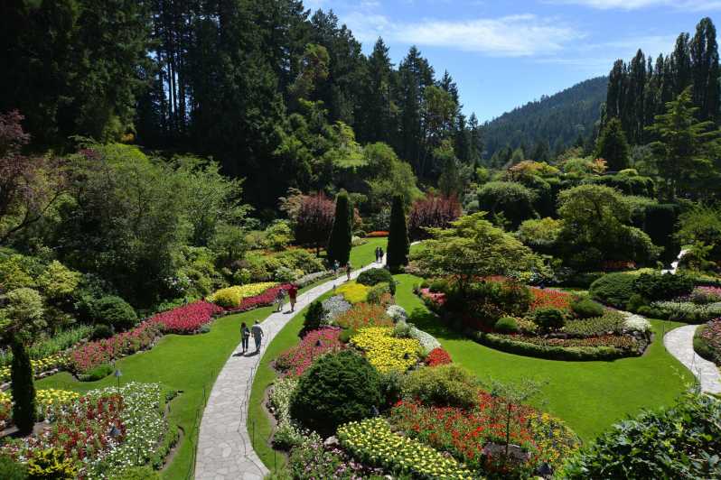 Victoria: City Highlights and Butchart Gardens Tour