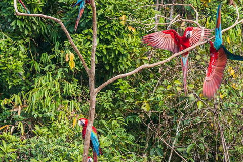 Manu National Park 4 Days