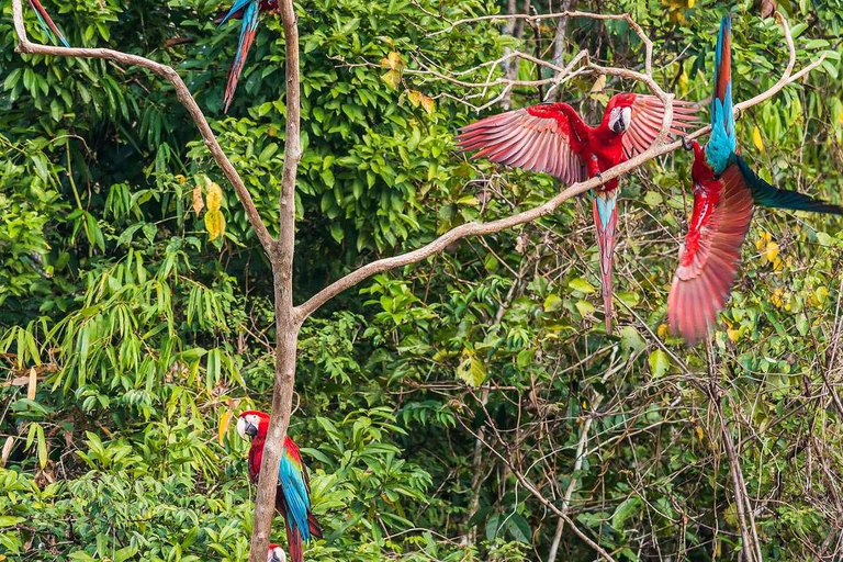 Manu National Park 4 Days