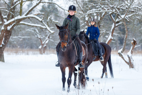 Privé avontuurlijke winterreis in het Rilagebergte