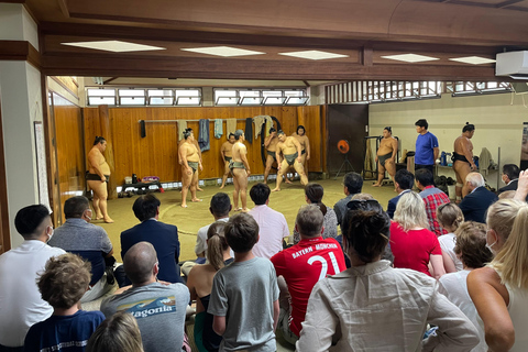 Experiência de luta de sumô com luta e desafioExperiência de luta de sumô com partida e desafio