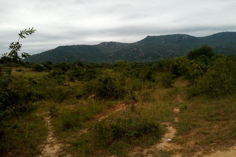 From Nairobi: Guided Bird Watching Tour