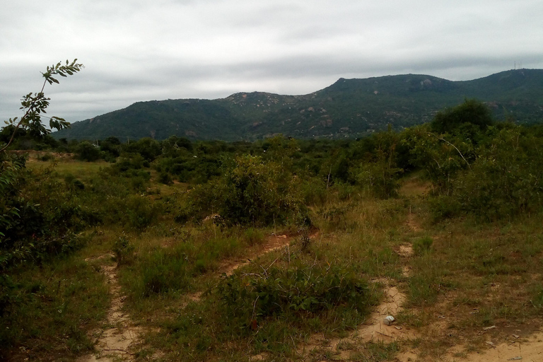 From Nairobi: Guided Bird Watching Tour