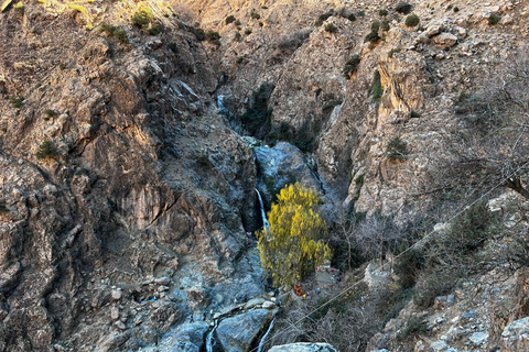 Desde Marrakech: montañas del Atlas, valle de Ourika y paseo en camello